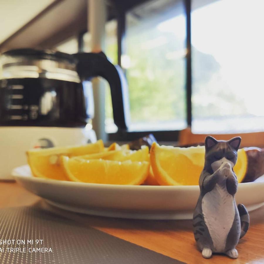 Taipei Jinguashi Cloud Mountain Homestay B&B Джиуфен Екстериор снимка